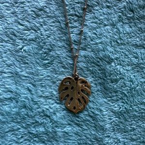 Beautiful long necklace